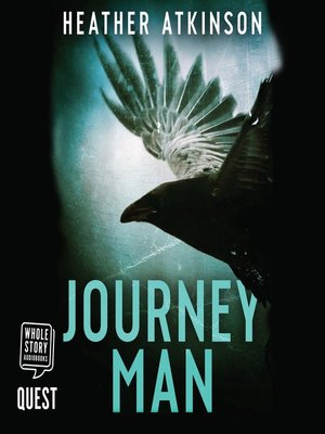 cover image of Journeyman